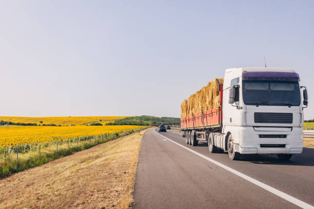 istock Cars and trucks on highway 1567285049