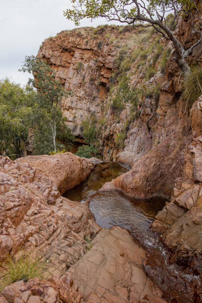 istock rockpool in molly springs 1567300188