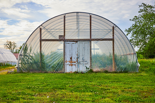 Image of Abandoned greenhouse with chipped white pain on sealed double doors