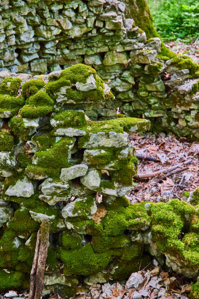 istock Abstract stone structure covered in green growing moss, decay, abandoned building on forest floor 1567303618