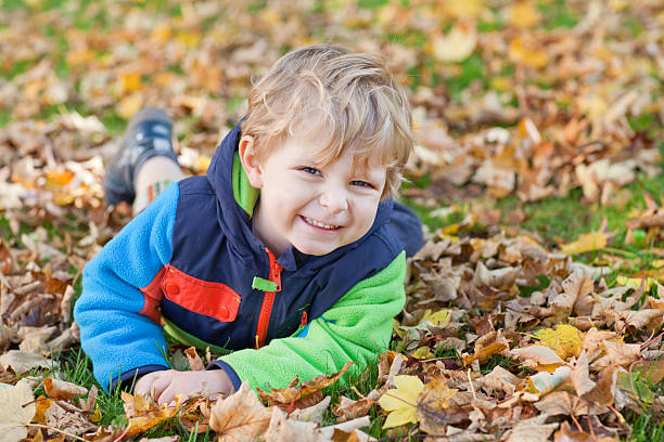 istock Little toddler boy in autumn park 156730572