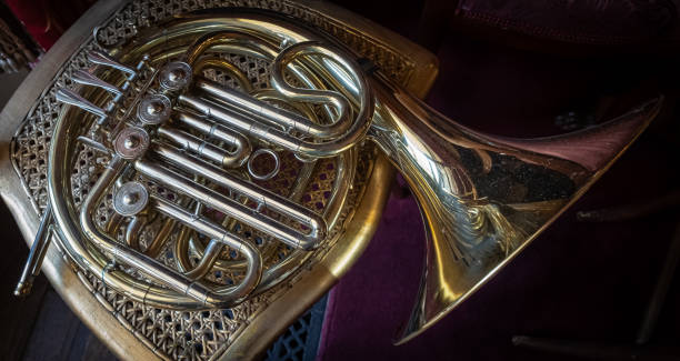 istock Tuba Brass Musical Instrument 1567308732