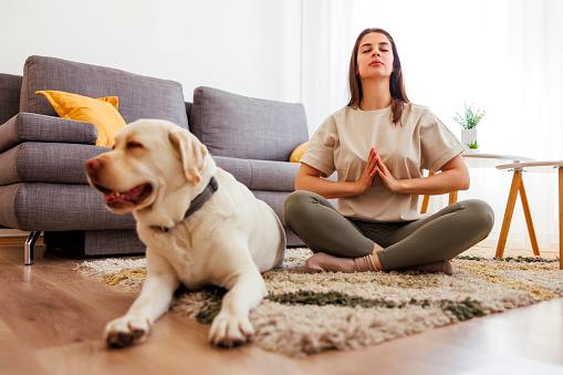 Active young woman in sportswear doing meditation session at home with her pet dog by her side