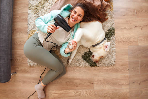 istock Woman drying dog using hair dryer 1567324129