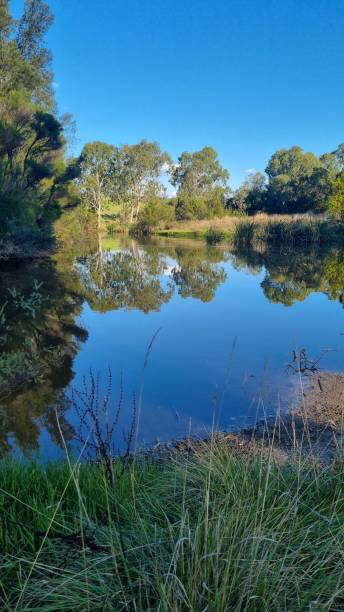 istock Lake Woodland Reflections 1567324798