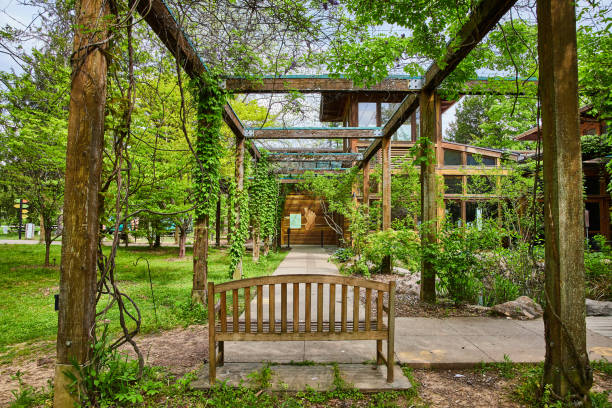 istock Bench on path leading down pergola corridor to giant foot on cabin wall 1567330815