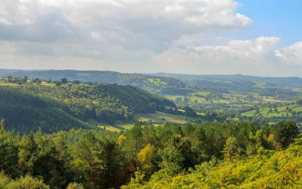 istock The agriculture farm view with the trees 1567331425