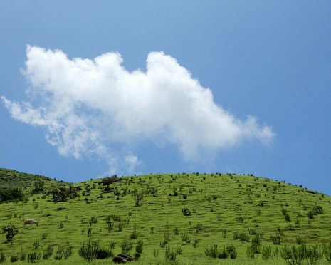 The green mountain view with the  blue sky and the white clouds