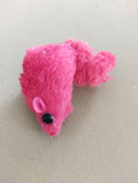 istock The cat's toy 1567346664