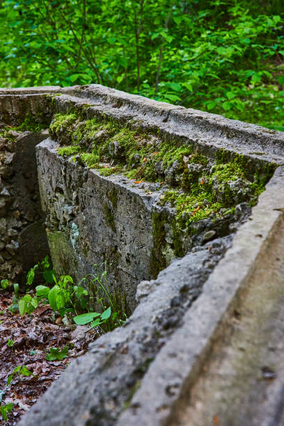 istock Concrete above ground partial hexagon shaped structure overgrown with plant life, park, forest 1567349016