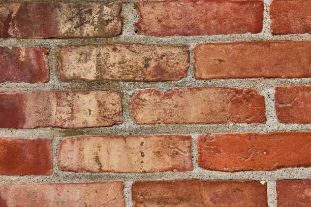istock Dirty and grimy with green gunk on red brick wall horizontal background asset 1567366719
