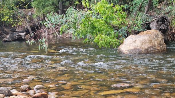 istock Country Rock Stone Mountain Forest River 1567377953