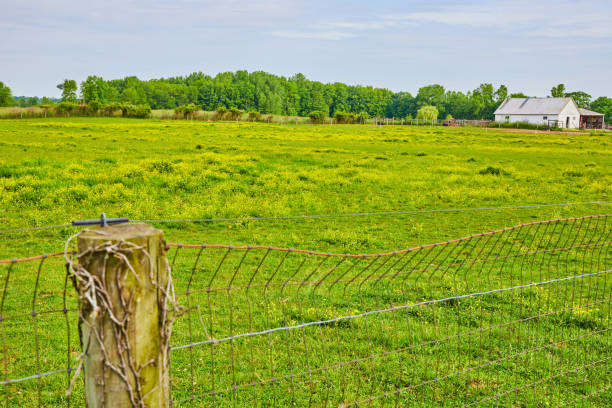 Image of Fence in front of green pasture with distant forest and stables