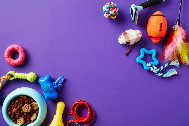 istock Flat lay composition with pets accessories on purple background. Pet care, training, grooming concept. 1567388451