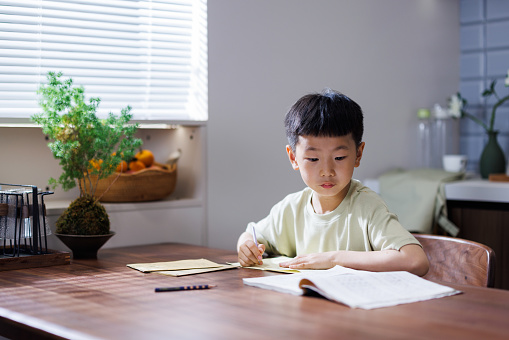 Smiling student boy writing to notebook at home