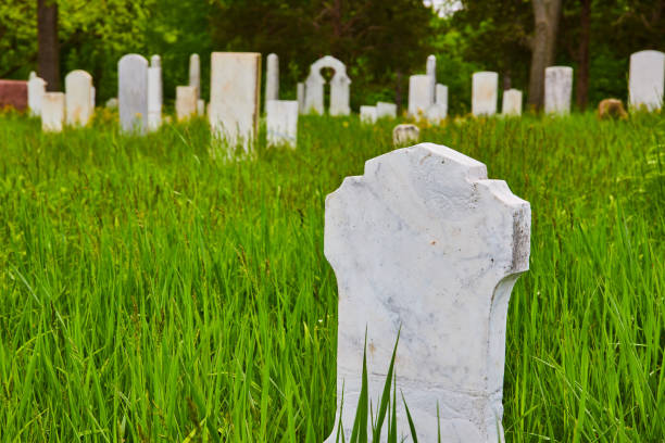 istock Headstones, graves, tall green grass, religious, graveyard, background asset 1567399355
