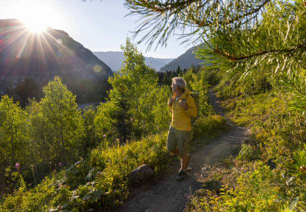 istock Senior male hiker pauses beside pathway 1567429063