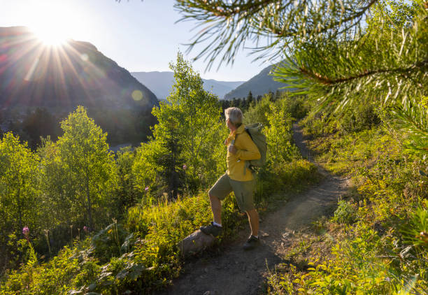 istock Senior male hiker pauses beside pathway 1567429066