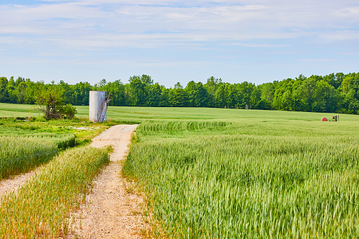 Image of Maintenance road leading to abandoned farm silo type equipment surrounded by green fields
