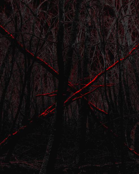 chemin dans l’obscurité, forêt d’hiver effrayante, noir et blanc, croix d’arbre fantastique rouge foncé - white black tree fog photos et images de collection