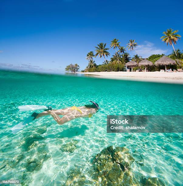 Mulher A Nadar Debaixo De Água - Fotografias de stock e mais imagens de Taiti - Taiti, Mergulho Livre, Máscara e Tubo Respiratório