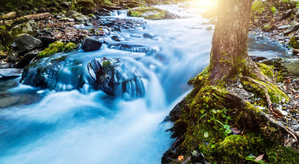 istock Beautiful waterfall in green forest 1567472416