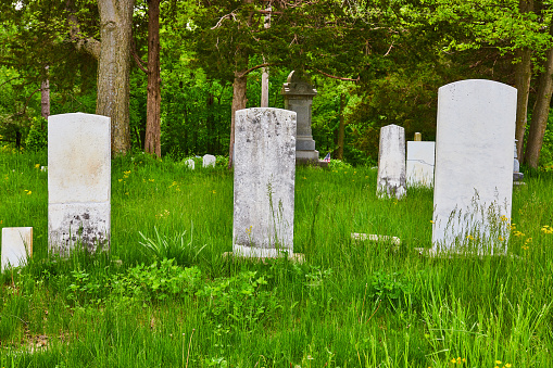Image of Three unmarked graves, gravestones, headstones, tall green grass, graveyard, background asset