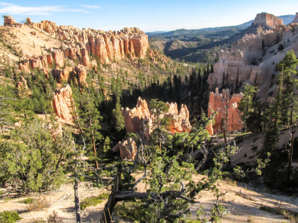 widok na wielobarwne hoodoos z bryce canyon z jaskini mossy w pogodny słoneczny dzień. - extreme terrain eroded snow landscape zdjęcia i obrazy z banku zdjęć