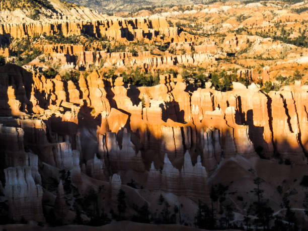dziwaczne kształty hoodoo z bryce canyon, utah, usa, w złotym świetle późnego popołudnia. - extreme terrain eroded snow landscape zdjęcia i obrazy z banku zdjęć