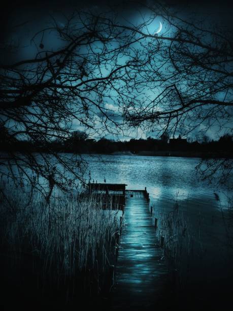 istock landscape lake at night on the pier 1567491781