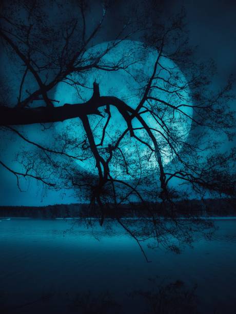 a beautiful view of the lake at night, a large moon on the background of a tree branch