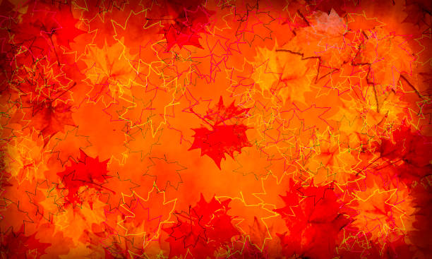 It has been popular since ancient times as a representative of trees that change color in autumn.