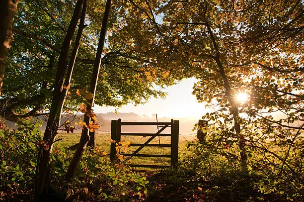 Farm gate  in the English countryside.