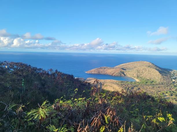 istock Hanauma Bay from atop Koko Head 1567517825