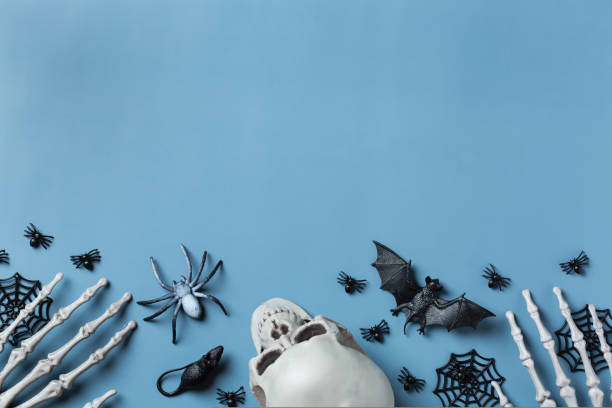 istock Halloween greeting card with pumpkin, skulls, bony hands and leaves 1567545467