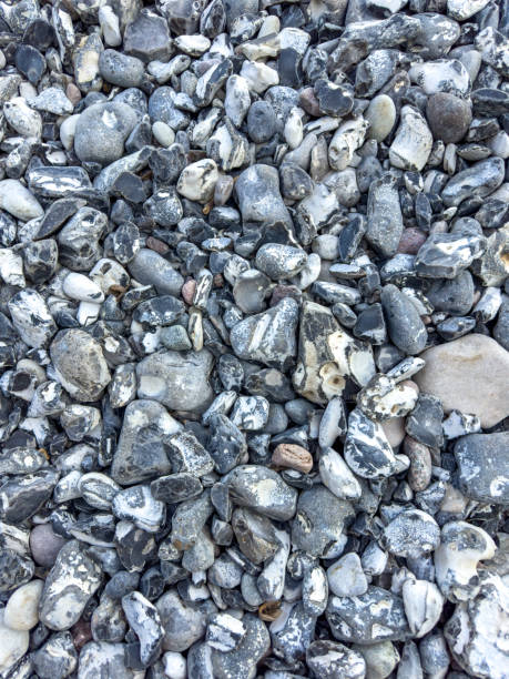 istock Abstract nature background of pebbles, texture of pebbles. 1567546536