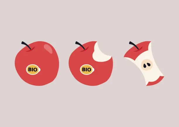 Vector illustration of Eating an apple, work in progress