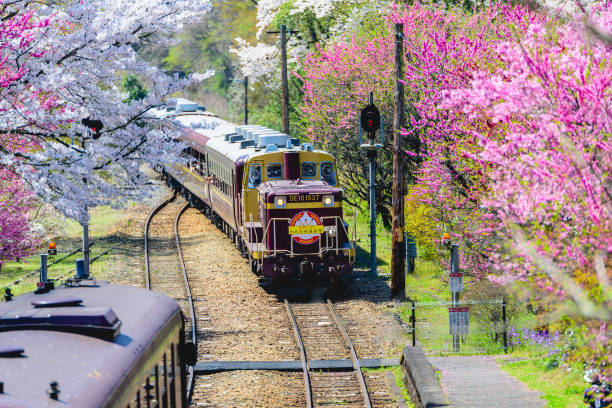 watarase keikoku railway alla stazione di godo in primavera con alberi in fiore rosa e rossi che fioriscono lungo i binari della ferrovia. - open foto e immagini stock