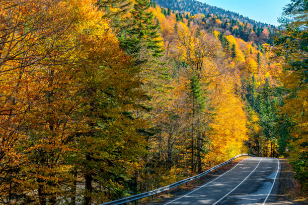 istock Road in the mountains in autumn 1567562576