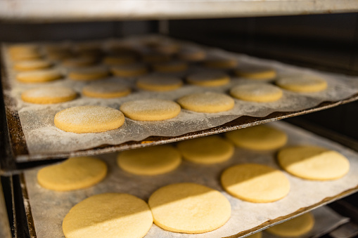 A close up of three backing trays in an industrial rack. On them are uncooked biscuits .