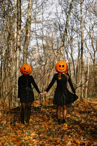 halloween pumpkins in the forest. High quality photo