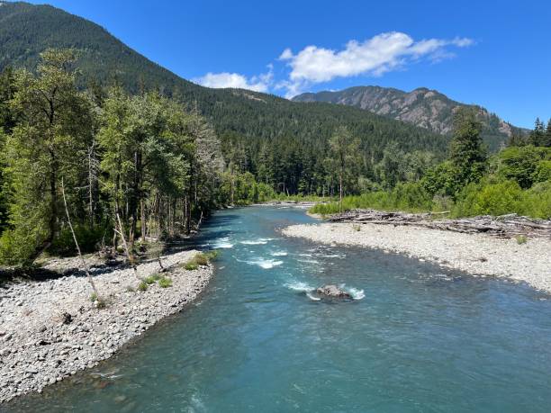 istock Elwha River Olympic National Park 1567589460