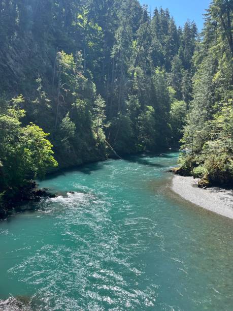 istock Elwha River Olympic National Park 1567589906