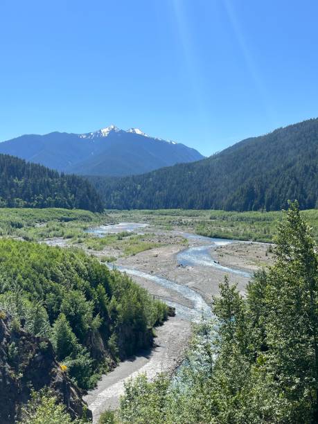 istock Looking up the Elwha River Valley 1567590542