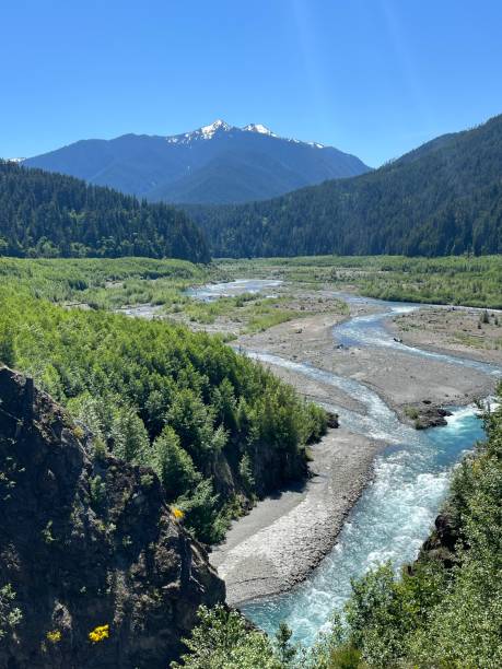 istock Looking up the Elwha River Valley 1567590584