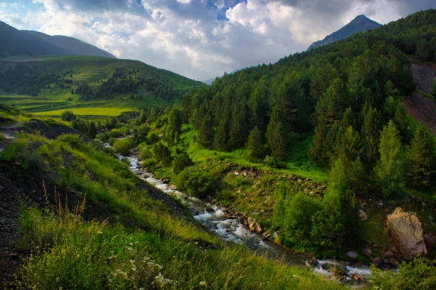 istock Summer Day in Benasque Valley: Mountain Stream and Cloudy Skies 1567604554