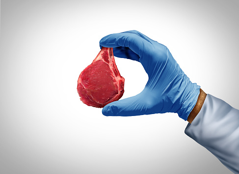 Lab Made Meat and laboratory grown steak as cell-cultivated or cultured meats and in-vitro food and alternative protien food with biotechnology science.