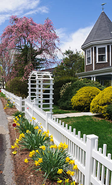 istock Spring Along the Fence Line 156761755