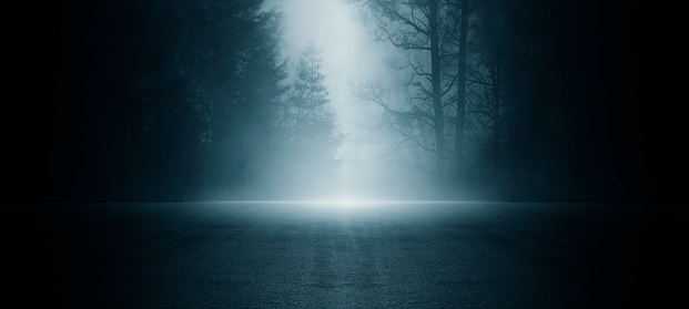 Dark empty scene, night landscape, gloomy forest, nature scene with forest and moonlight, night view of the forest, fog, smog, smoke, street asphalt floor, mystical magic theme