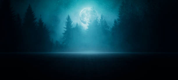 istock Dark empty scene, night landscape, gloomy forest, nature scene with forest and moonlight, night view of the forest, fog, smog, smoke, street asphalt floor, starry night, mystical magic theme 1567628275